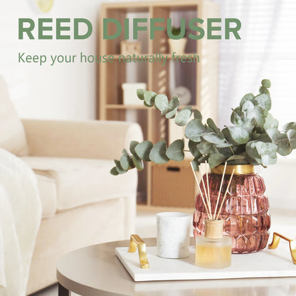 Eucalyptus Essential Oil For Diffuser
